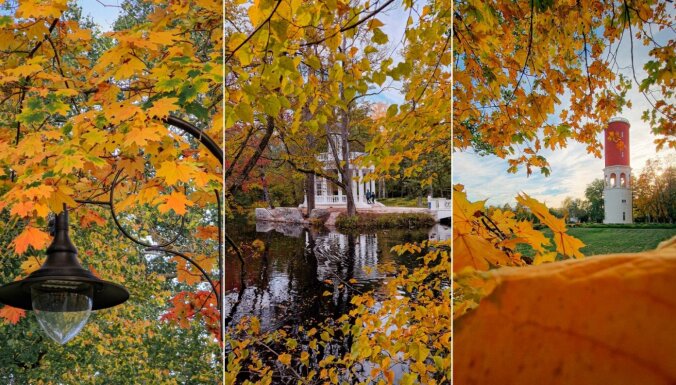 Красота через объектив: Лучшие места в Латвии для того, чтобы сфотографировать золотую осень