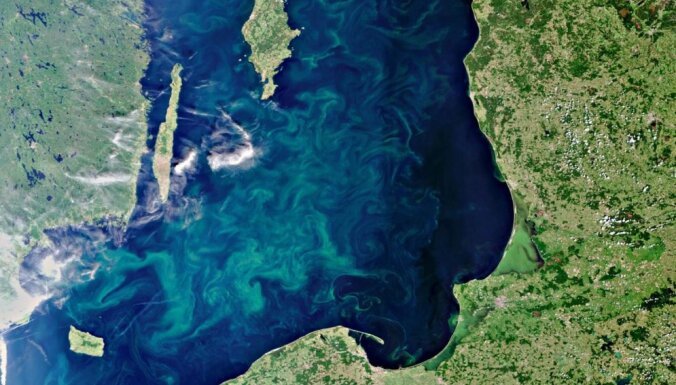 Из-за опасных водорослей ограничено купание на нескольких пляжах