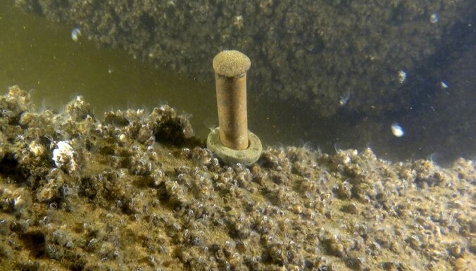 Foto: Zemūdens arheoloģijas entuziasts jūrā pie Daugavgrīvas mola atrod kuģa vraku