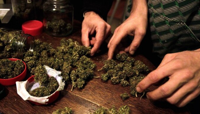 Jaunzēlandē nākamgad notiks referendums par marihuānas legalizāciju