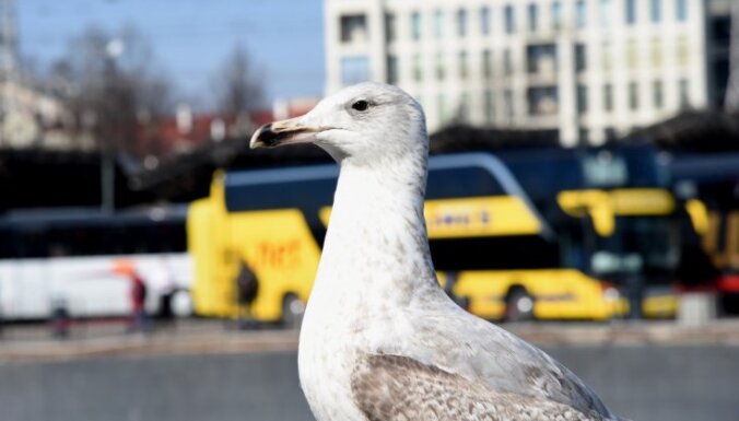Ar Covid-19 inficēts pasažieris braucis autobusā no Rīgas līdz Gulbenei