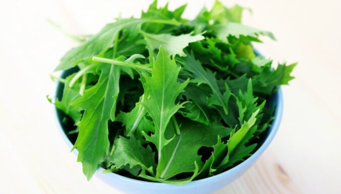 Virtuves pamati: īsais ceļvedis lapu salātu 'pasaulē'