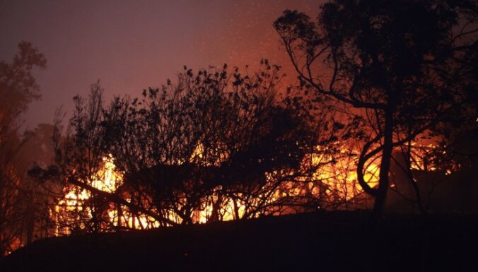 Австралия в огне: бушуют почти 70 очагов, огонь приближается к Сиднею