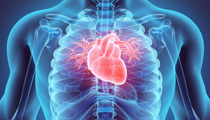 Par ko pateiksies aknas, nieres un sirds? Pārtikas produkti veselam organismam