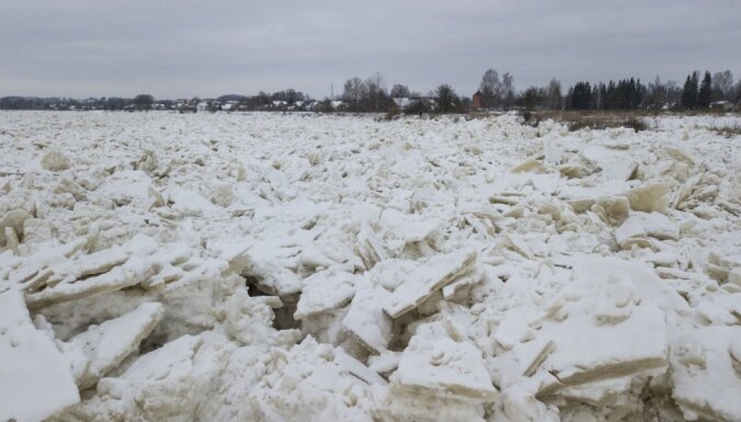 Vižņu drūzmas dēļ Daugavā pie Jēkabpils strauji paaugstinās ūdens līmenis