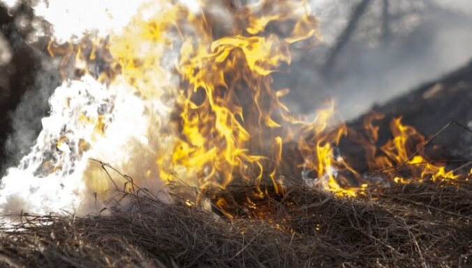 Поджоги старника: за полтора месяца выгорело уже более 280 га