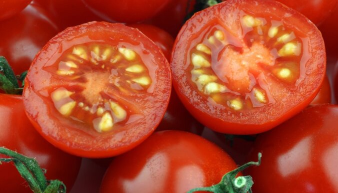 Kolekcionāres padomi tomātu sēklu ievākšanā