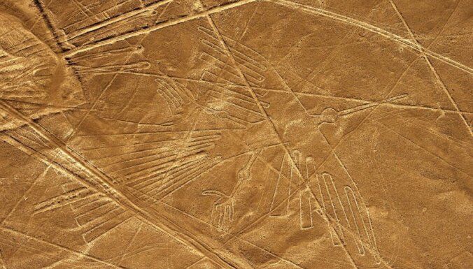 Геоглифы Наски: в Перу нашли более 140 новых гигантских каменных рисунков