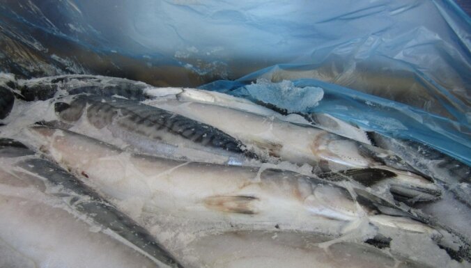 Через российско-латвийскую границу не пропустили 38 тонн лосося и скумбрии