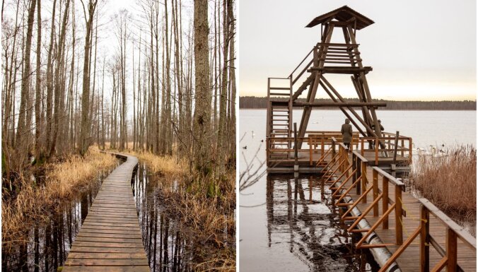 ФОТО. Природная тропа озера Слокас: всего час езды от Риги и вы в волшебном месте