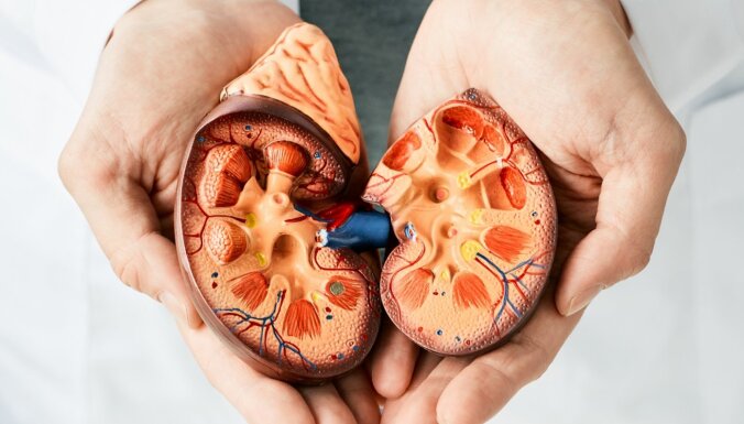 Nierēm var kaitēt ar pretsāpju līdzekļiem: kā jārūpējas par orgāna veselību