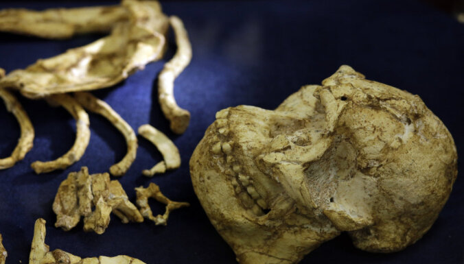 Ученые: останки StW 573 принадлежат новому предку человека