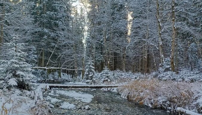 Cecīļu dabas taka Ieriķos: pastaiga pa gaismas ceļu ziemā