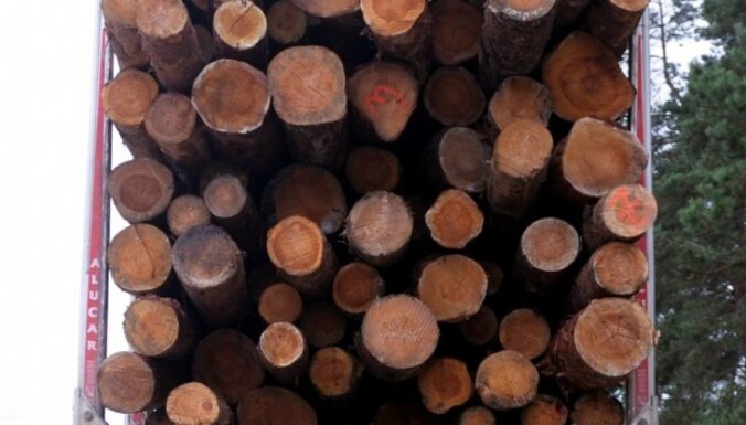Россия: уроженец Латвии получил 3,5 года колонии за незаконную вырубку леса