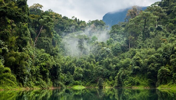 Amazones džungļu vilinājums: kas jāzina, pirms doties uz Dienvidameriku