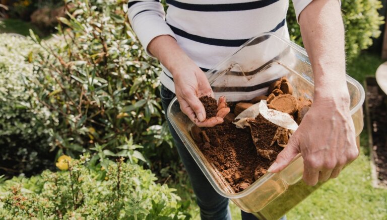 Выбросить нельзя, использовать: что делать с кофейной гущей в вашем саду и доме?