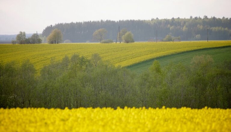 Kopējai lauksaimniecības politikai jābūt taisnīgākai, min 'Zemnieku saeima'