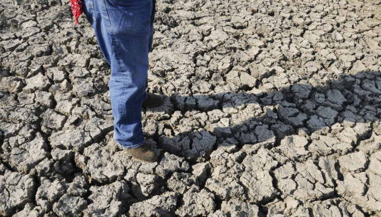 Италию накрыла самая мощная за 70 лет засуха. На севере страны введен режим ЧС