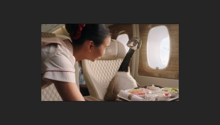 ВИДЕО. Авиакомпанию Emirates будет рекламировать гусь Джерри