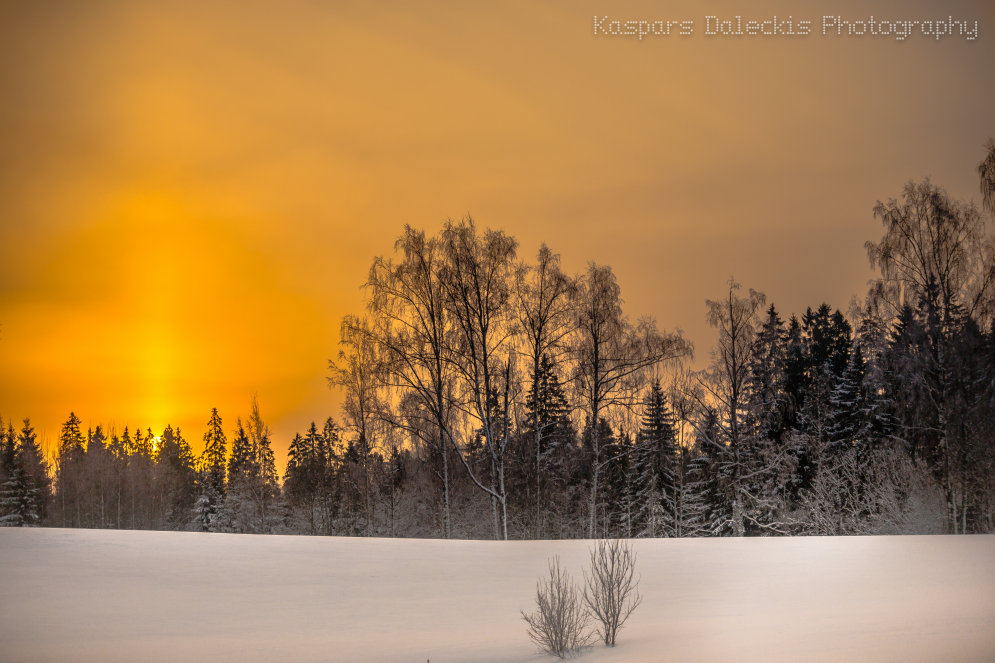 Fotogrāfs Vidzemē noķer skaistāko Latvijas ziemas dienu