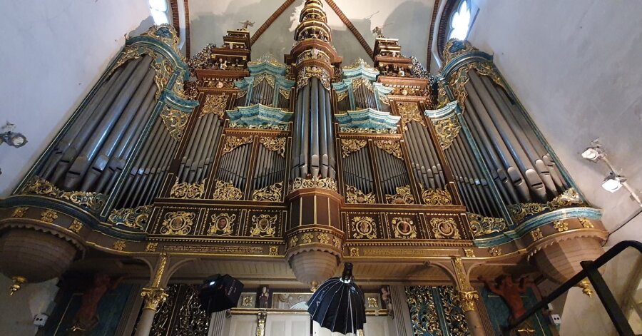 Take a look at the stable forest – a documentary about the organ of the Riga Dome Cathedral has been made