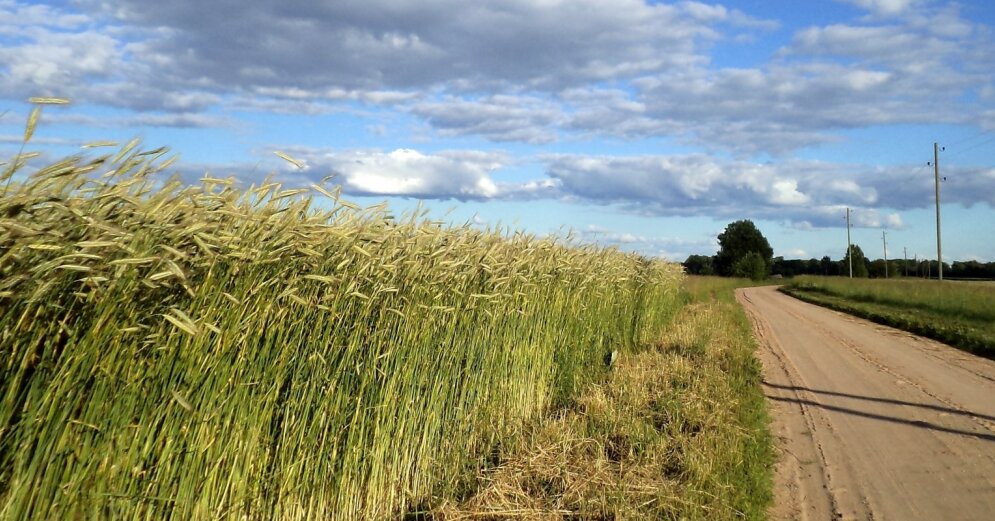 The EC approves Latvia’s 3 million euro support mechanism for small farmers