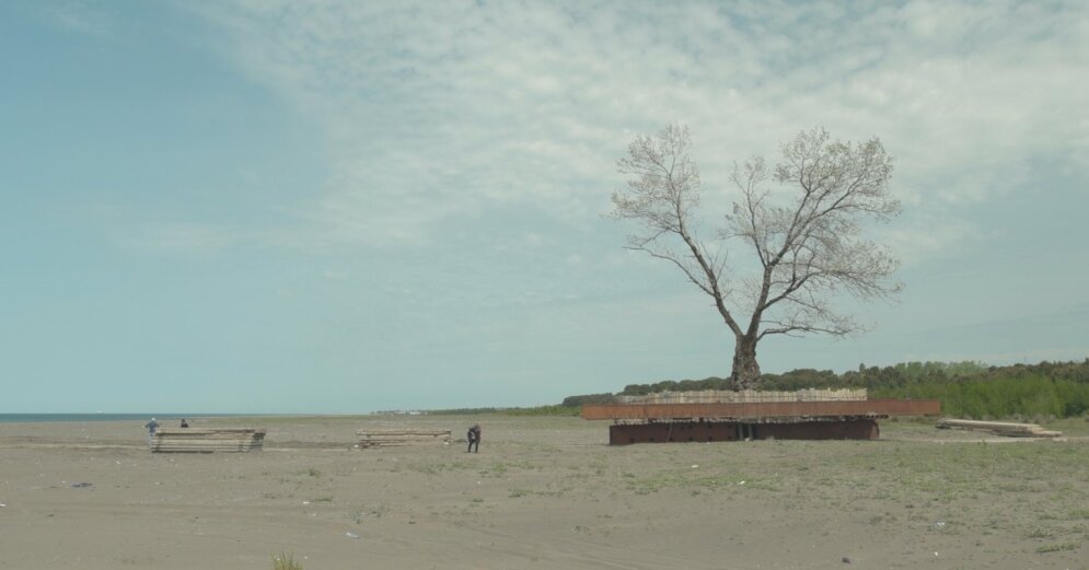 Film screenings of the Baltic Sea Documentary Film Forum will be opened