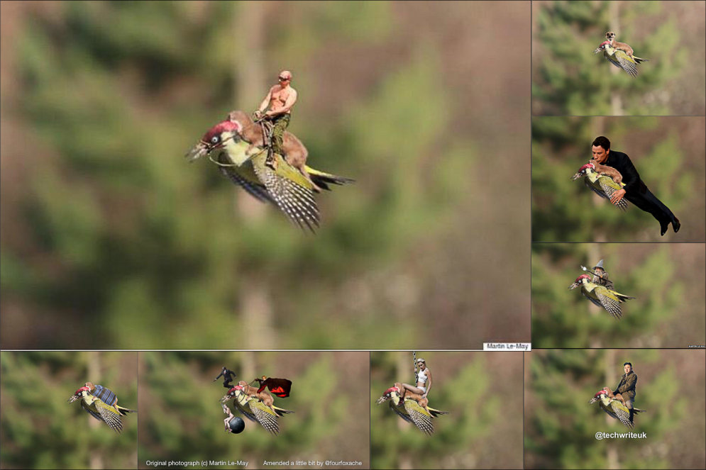 Вчера ласка летала верхом на дятле, сегодня их оседлал Путин (+другие фотожабы)