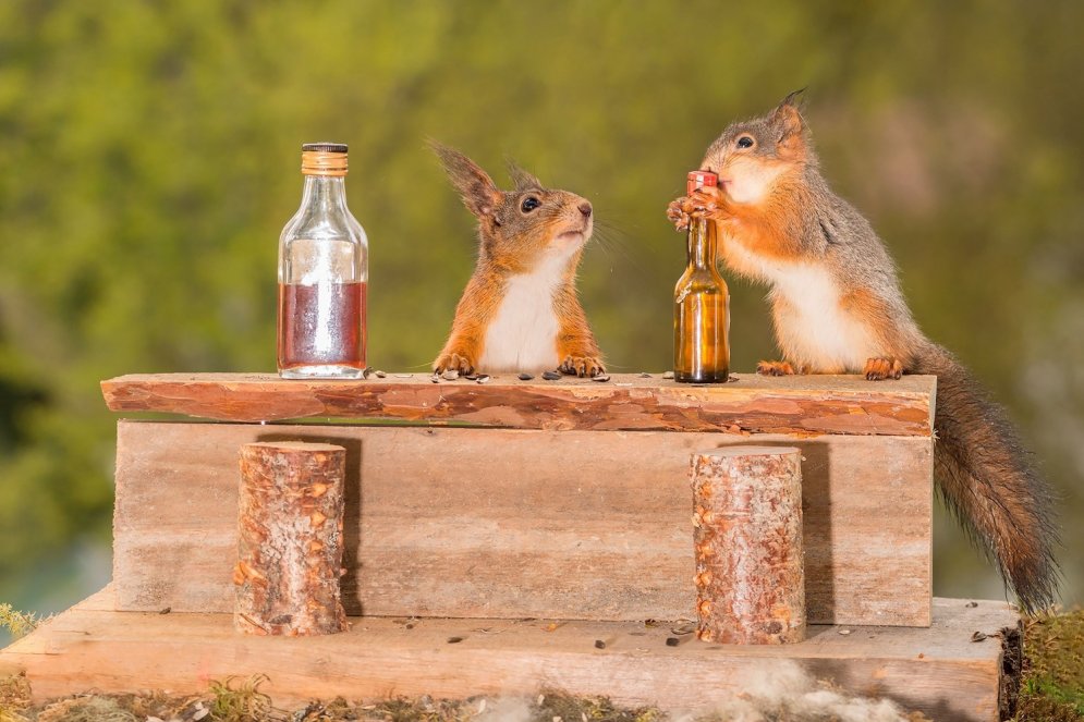 Divas vāveres pieķertas, pie bāra letes lietojot alkoholu
