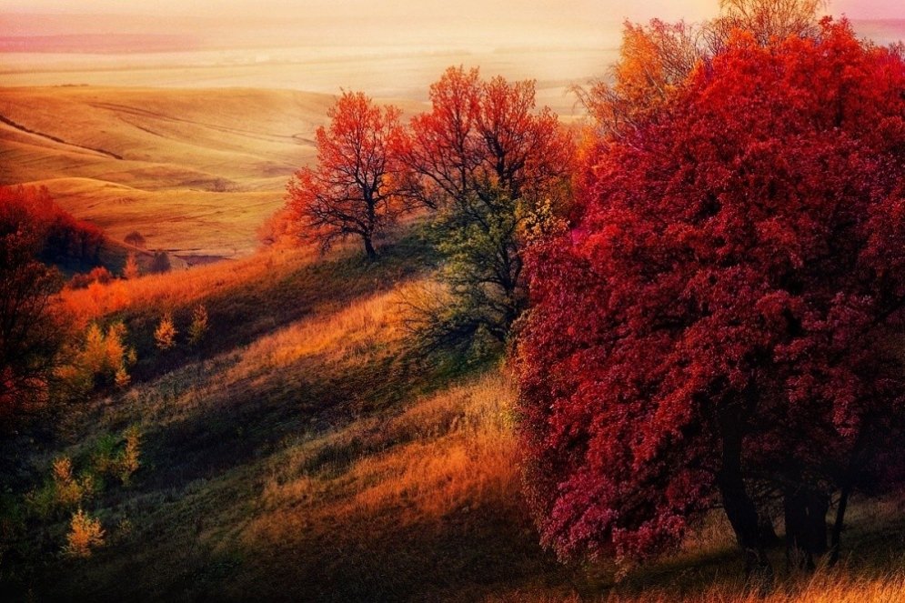 15 bildes, kas apliecina: nav nekā skaistāka par rudeni